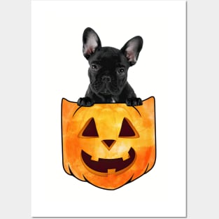 French Bulldog Dog In Pumpkin Pocket Halloween Posters and Art